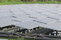 320W 단청 태양 전지판 연못 주거 태양 에너지 체계 두꺼운 부드럽게 한 유리 3.2 Mm